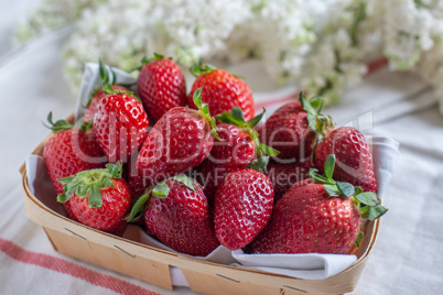 Erdbeeren