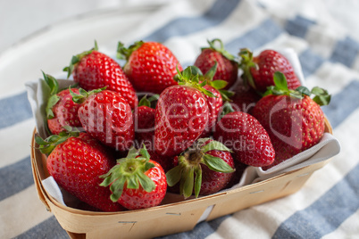 Erdbeeren