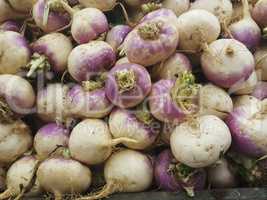 Harvest of turnips