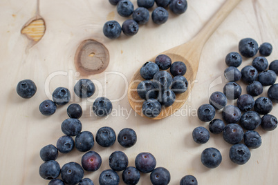 Heidelbeeren