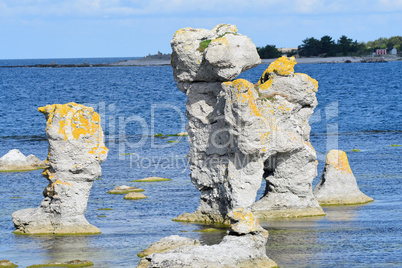 Gamle Hamn (Fårö)