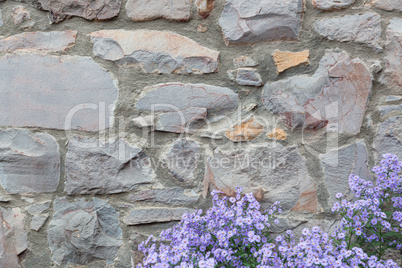 Old Stone Wall With Flowers Background Texture