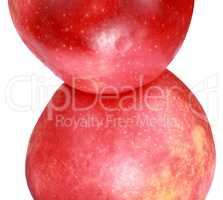 two apples with water droplet