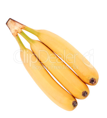 many yellow banana isolated