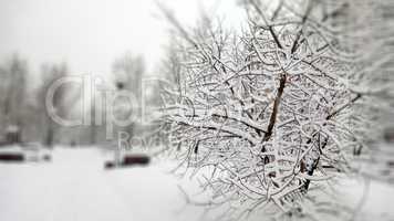 city park after snowfall at day