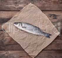 fresh whole sea bass fish on brown crumpled paper