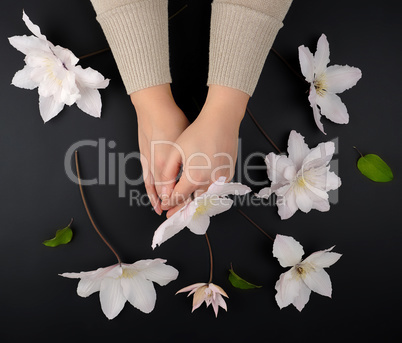 bouquet of white clematis flowers and two female hands on a blac