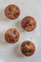 Schokoladen Muffins