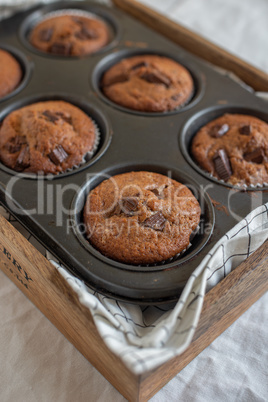 Schokoladen Muffins