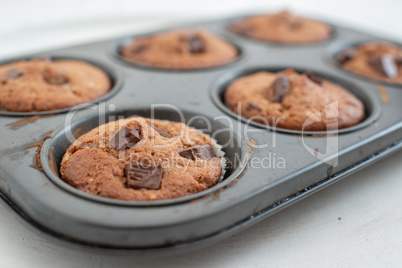 Schokoladen Muffins