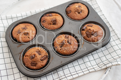 Schokoladen Muffins