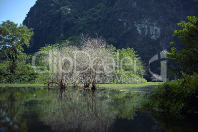 Trang An landscape with water, trees and limestone mountain. Vietnam