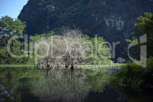 Trang An landscape with water, trees and limestone mountain. Vietnam