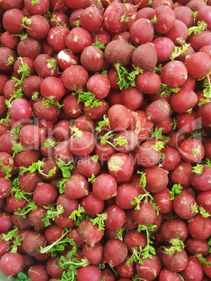 Radish cluster