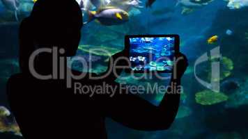 Photographing  the underwater world