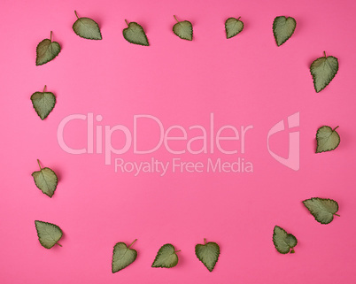 fresh green leaves on a pink background