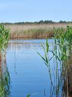 therapeutic lake with iodine and minerals in the middle of the w