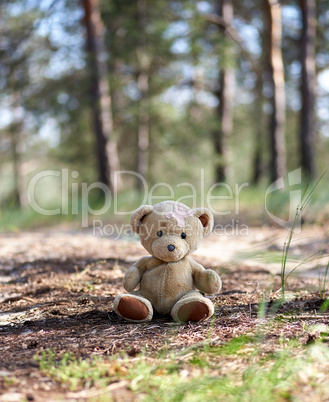 abandoned brown teddy bear sitting in the middle of the forest