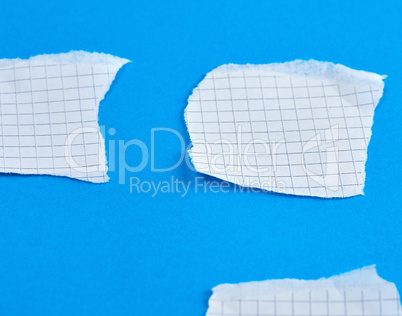 pieces of white paper with torn edges