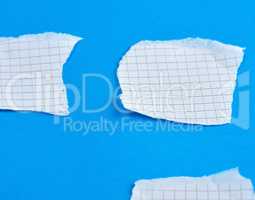 pieces of white paper with torn edges