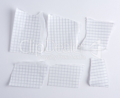torn pieces of paper from notebook to cell