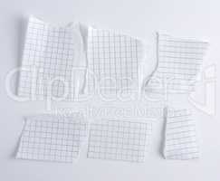 torn pieces of paper from notebook to cell