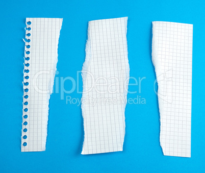 torn strips of paper from a school notebook into a cell