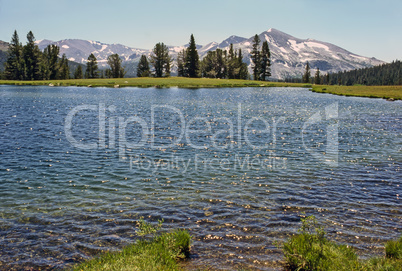 Yosemite National Park