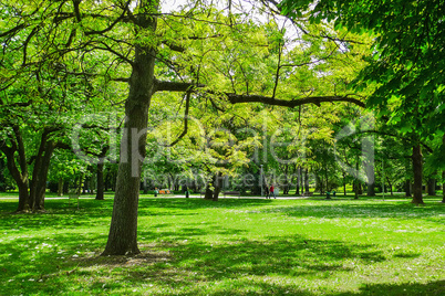 Park on Margaret Island, Budapest