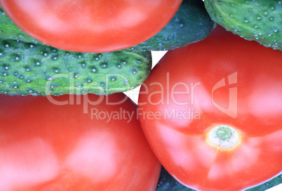 cucumber and tomato cucumber and tomato