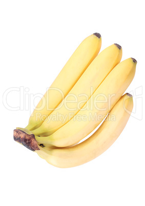 many yellow banana isolated
