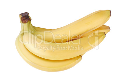 many yellow banana isolated at dry sunny day