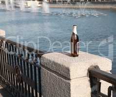 bottle on fence