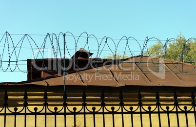 barbwire on sky background