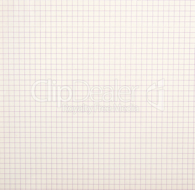 sheet of school notebook in a cell, full frame