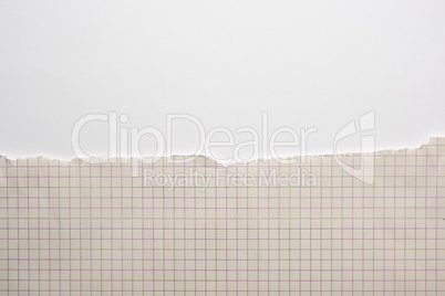 yellow torn sheet of paper in a cell on a white background,