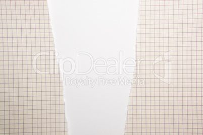 yellow torn sheet of paper in a cell on a white background