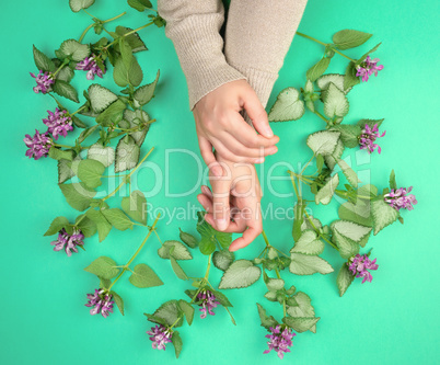 two female hands and pink small flowers