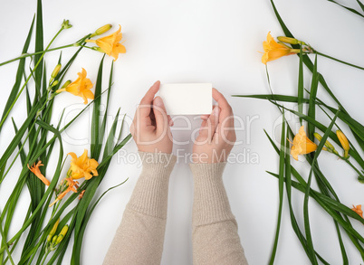 two female hands holding empty white paper card and yellow lilie