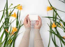 two female hands holding empty white paper card and yellow lilie