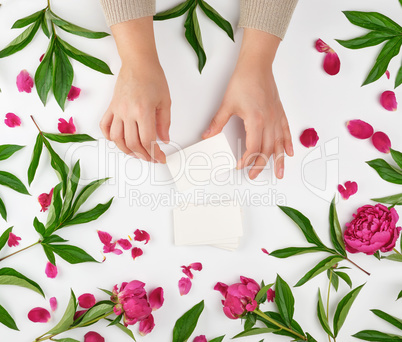 two female hands holding empty white paper cards and burgundy fl