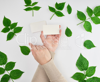 female hand holding a stack of white empty paper business cards