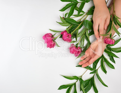 two hands of a young girl with smooth skin and a bouquet of red