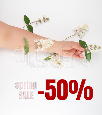 female hand and  small white flowers on a white background