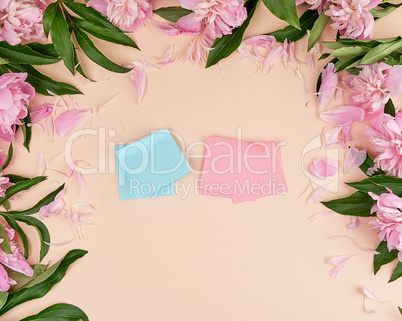 empty pink and blue paper stickers on a peach background