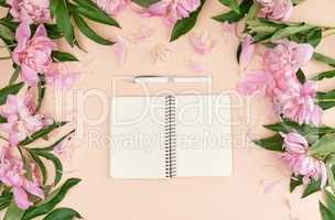 open spiral notebook with blank pages and a white pen on a peach