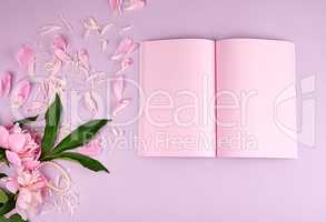 open blank notebook with pink sheets and blooming peonies