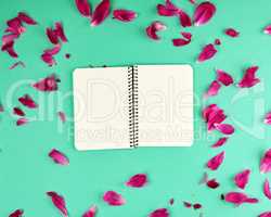 open notebook with white blank pages on a green background