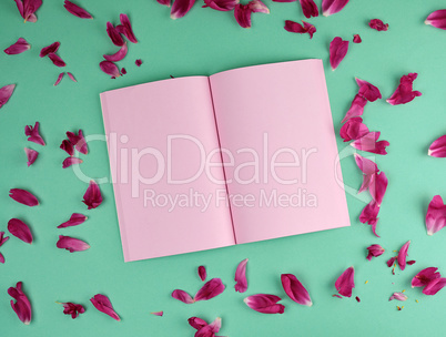 open notebook with pink blank pages