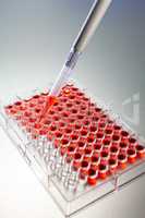 Red Solution or Blood Medical Lab Research With a Pipette and Ce